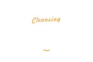 cleansing-face-foam-rose-water-aloe-vera-1024x683